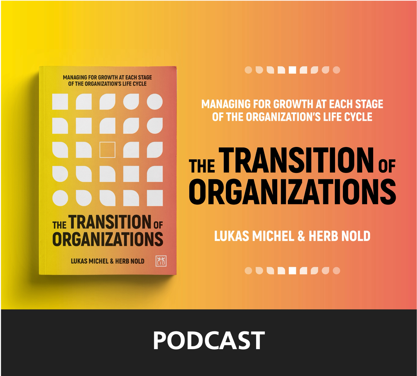 Interview with Lukas Michel: The Transition of Organizations