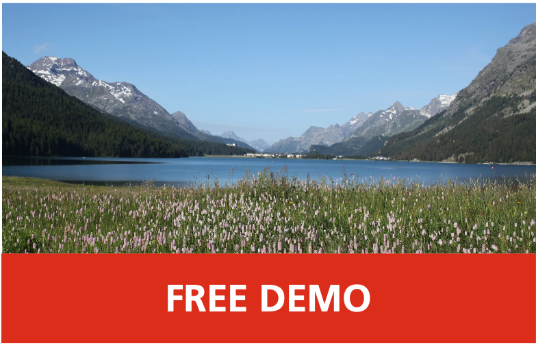 The Free Demo