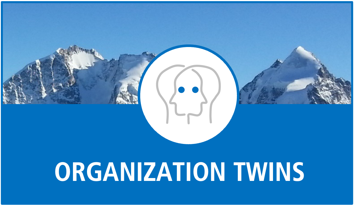 Twins of Organizations